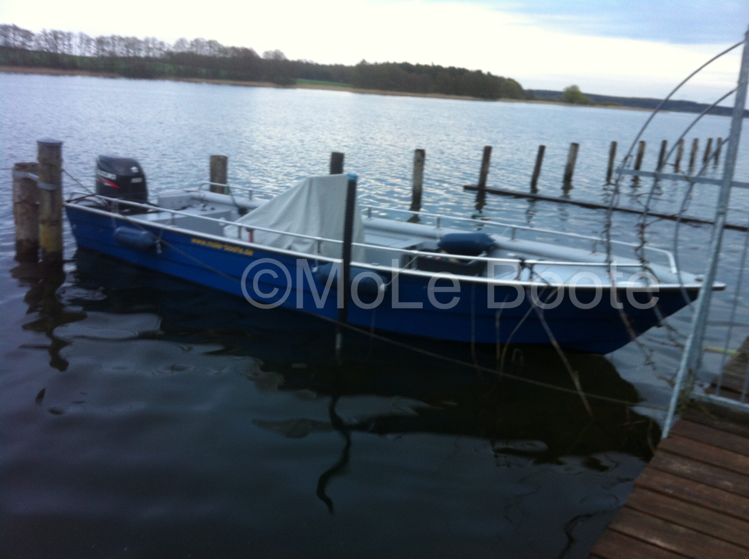 IMG_0600 IMG_0600