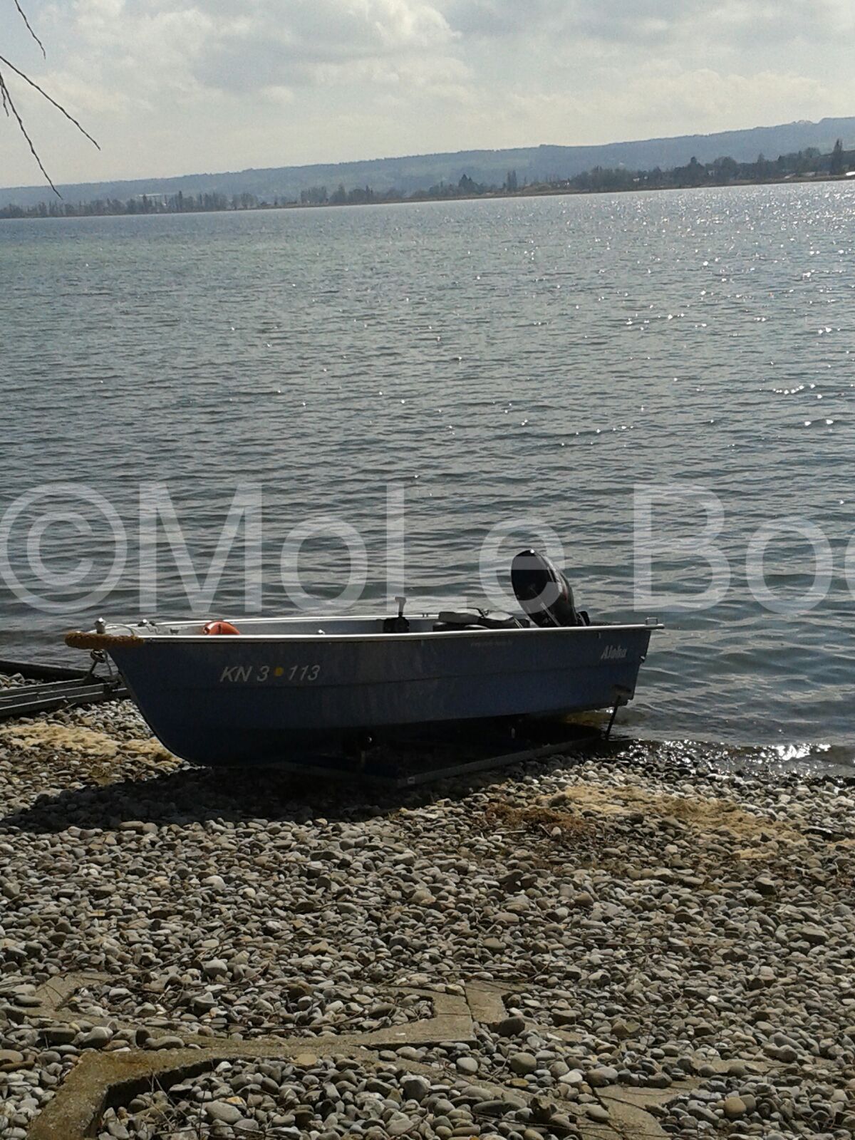 IMG_1716 IMG_1716